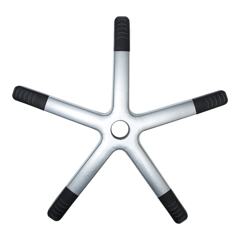 PA-A corium pedibus pictis (nylon basi)